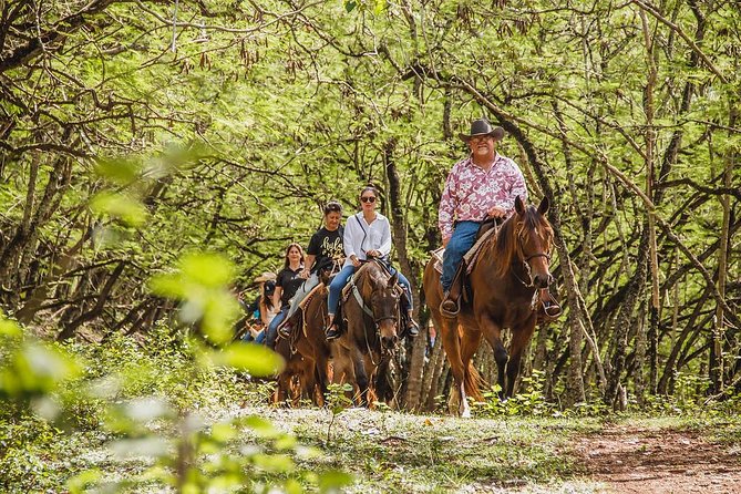 1 Hour Scenic Horseback Ride - Key things I’d watch for before you book
