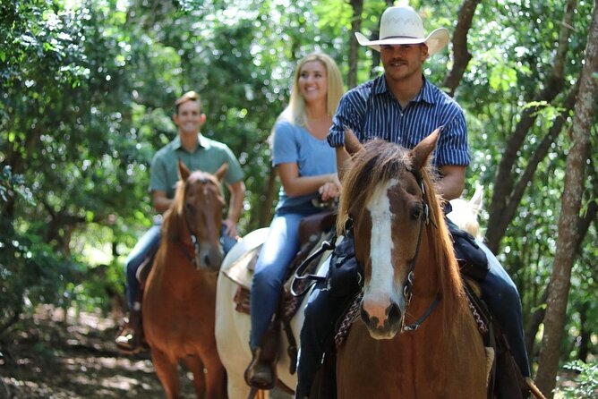 1 Hour Scenic Horseback Ride - Why Gunstock Ranch makes sense on Oahu’s north shore