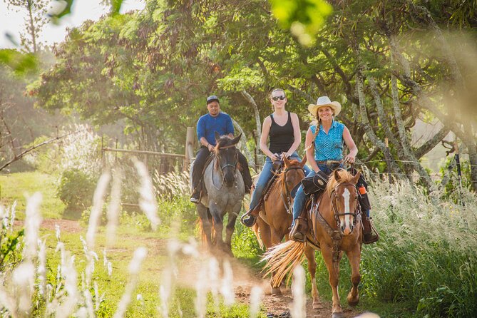1 Hour Scenic Horseback Ride - Stop 1 at Gunstock Ranch: pastures, ocean views, and the Hidden Cave callout