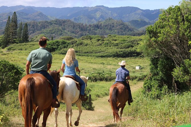 1 Hour Scenic Horseback Ride - Entering the riding zone: what check-in really means
