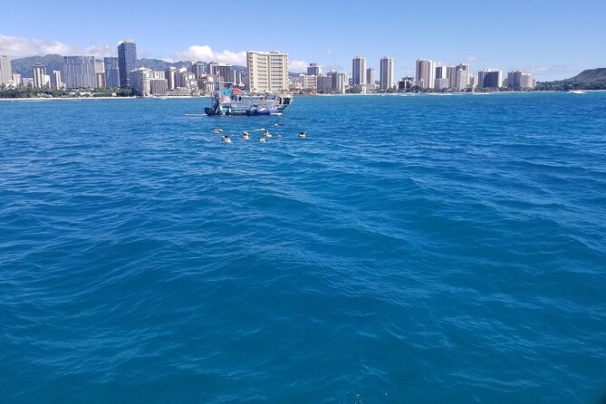 12pm Turtle Canyon Snorkel Adventure - Snacks, drinks, and staying comfortable on board