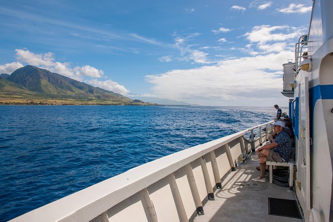 2-Hour Oahu Whale Watch from Ala Wai Harbor, Waikiki - Live Whale Behavior Narration: Watch Smarter