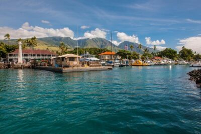 2-Hour Oahu Whale Watch from Ala Wai Harbor, Waikiki - The Underwater Hydrophone Is the Secret Sauce