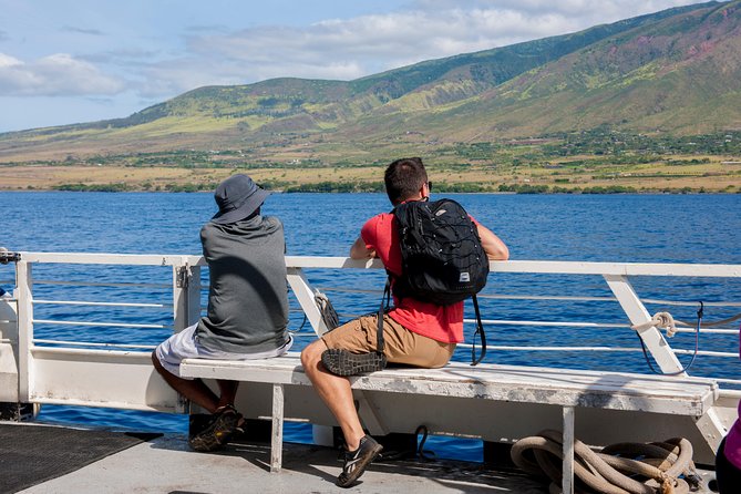 2-Hour Oahu Whale Watch from Ala Wai Harbor, Waikiki - The Waikiki Waterline: Your First Big Wow