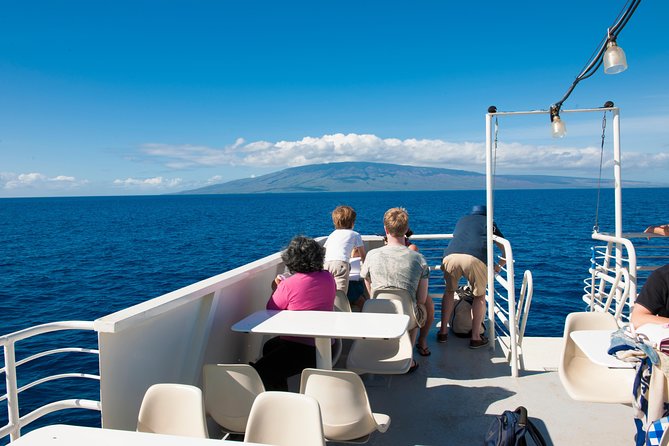 2-Hour Oahu Whale Watch from Ala Wai Harbor, Waikiki - Diamond Head From Sea Level Feels Different
