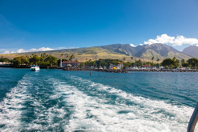 2-Hour Oahu Whale Watch from Ala Wai Harbor, Waikiki - Motion Sickness and Choppy Water: Plan Like a Local