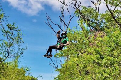 3 Zipline Adventure at Coral Crater with Optional Waikiki Shuttle - Entering the Park: Check-In Timing, Shoes, and Weight Rules