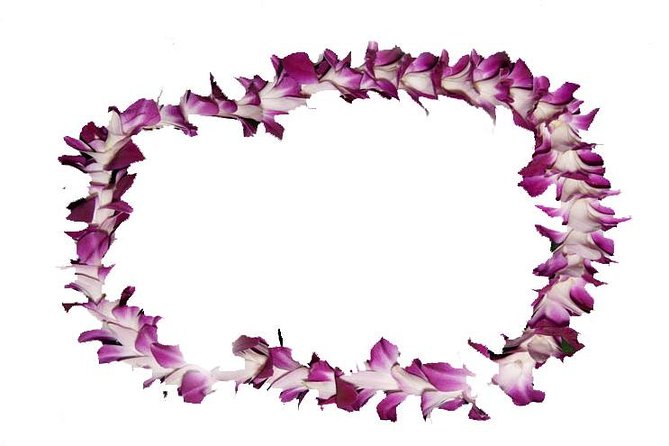 Aloha Lei Greeting on Arrival in Honolulu - Key Lei Greeting Takeaways at HNL