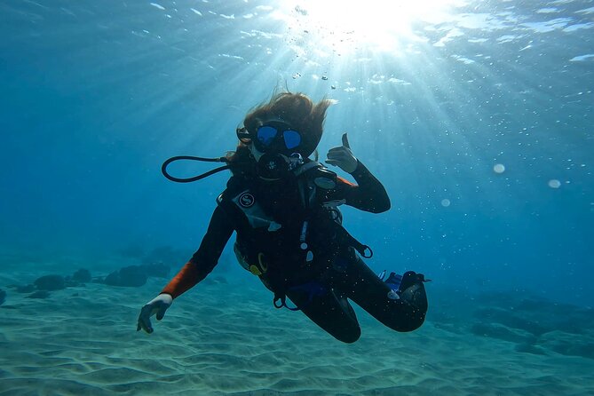 Beginner Scuba Diving Experience with Video Package in Honolulu - Marine Life You Might Spot in Honolulu’s Lagoon