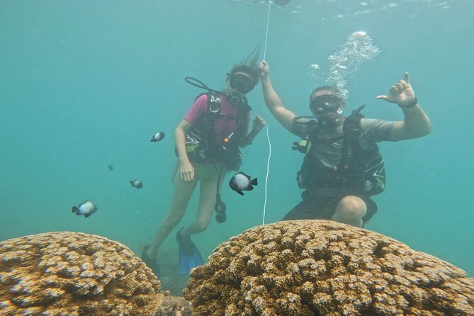 Beginner Scuba Diving Experience with Video Package in Honolulu - The Included Video Package: Worth It for First-Timers