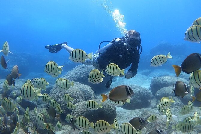 Beginner Scuba Diving Experience with Video Package in Honolulu - Kyle and the Small-Group Format (Max 4 Students)