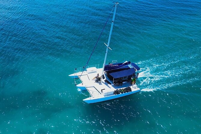 Best Waikiki Whale Watching in Honolulu: Whales Guaranteed - The crew experience: friendly, safety-first, and a bit of personality