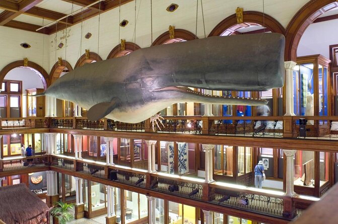 Bishop Museum General Admission Ticket - Key highlights you’ll notice right away