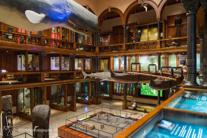 Bishop Museum General Admission Ticket - Castle Memorial Building and rotating exhibits: worth a peek, not a mission
