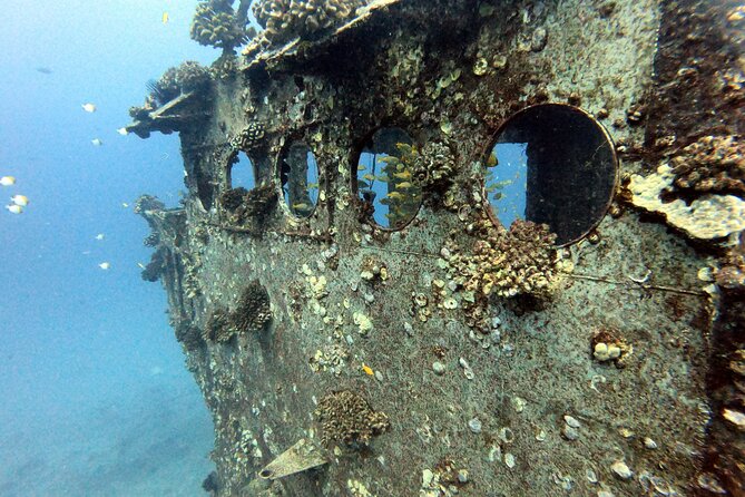 Certified Diver: 2-Tank Deep Wreck and Shallow Reef Dive Off Oahu - South Shore Oahu: the wreck-plus-reef logic