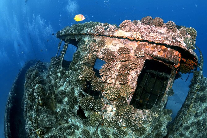 Certified Diver: 2-Tank Deep Wreck and Shallow Reef Dive Off Oahu - Should you book this 2-tank outing?