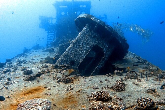 Certified Diver: 2-Tank Deep Wreck and Shallow Reef Dive Off Oahu - Price and what’s included: the value math at $248.81