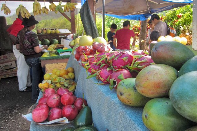 Custom Island Tour - for 4 to 5 people - up to 8 hours - Private tour of Oahu - Stop Types You Can Build Into Your Day (and What to Expect)