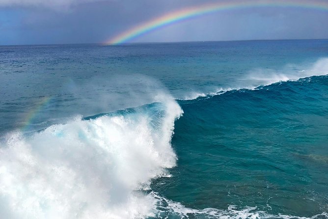 Customizable Island Tours Tours on Oahu - A Private 10-Hour Oahu Day Built Around Your Group