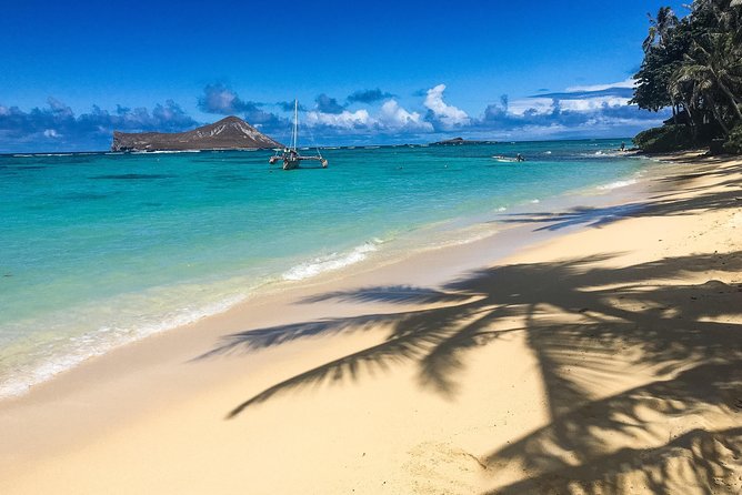 Customizable Island Tours Tours on Oahu - Dole Plantation, Quick Stops, and How to Use Short Time Wisely