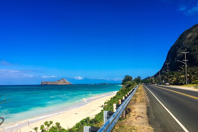 Customizable Island Tours Tours on Oahu - Makapuʻu Lighthouse Hike and Manoa Falls: Views That Come With Shoes