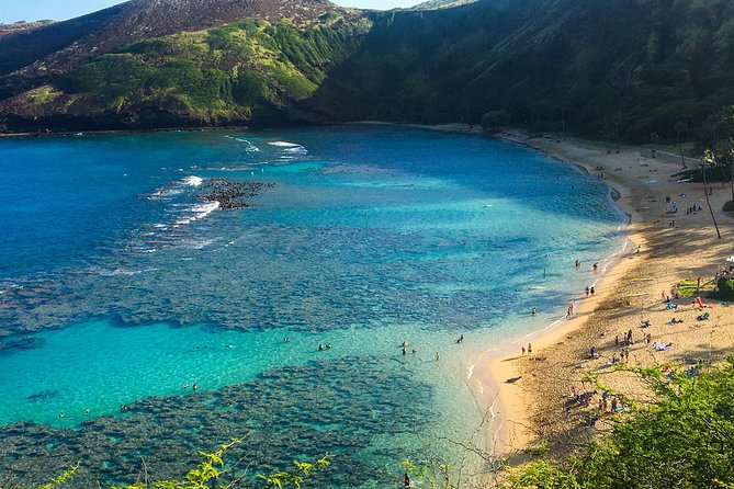 Customizable Island Tours Tours on Oahu - Snorkeling Gear, Swimming Moments, and How to Make It Work