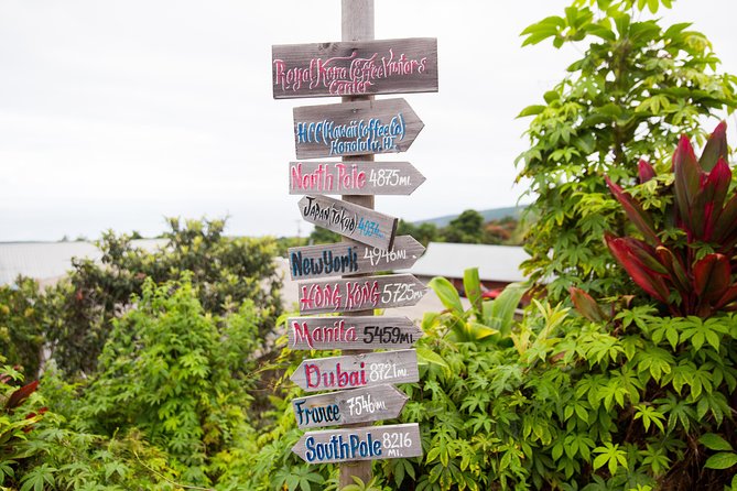 Day Trip from Oahu to Hilo: Volcano Adventure - The Oahu to Hilo flight sets the pace for everything