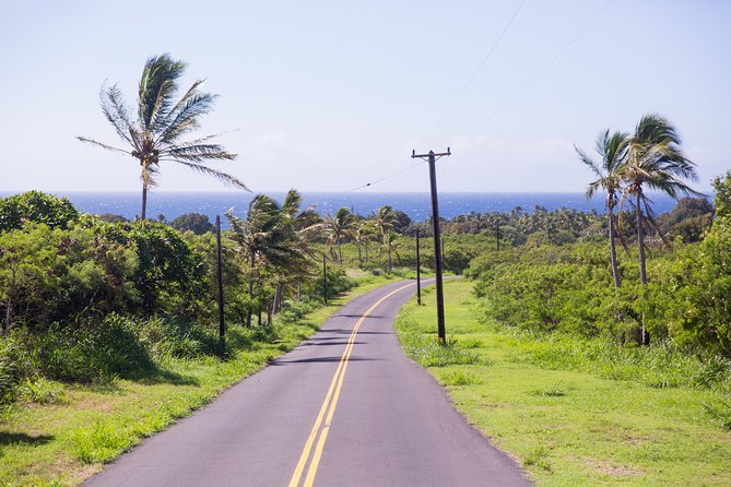 Day Trip from Oahu to Hilo: Volcano Adventure - Comfort, lunch, and the reality of short stop windows