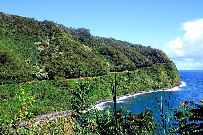 Day Trip from Oahu to Maui: Road to Hana Adventure - Hana Farms lunch: filling, predictable, and a potential highlight