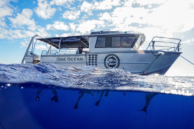Dive with Sharks in Hawaii: Shark Tour from Haleiwa - What happens before you swim: the safety briefing you actually use