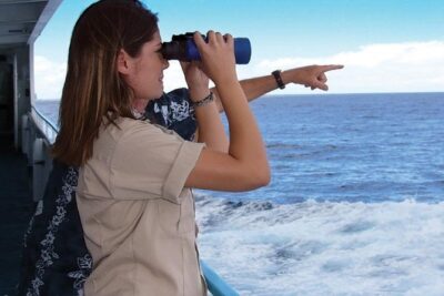 Early Bird Whale Watching Cruise from Waikiki - Star of Honolulu comfort: decks, stabilizers, and space for real watching