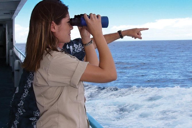 Early Bird Whale Watching Cruise from Waikiki - Star of Honolulu comfort: decks, stabilizers, and space for real watching