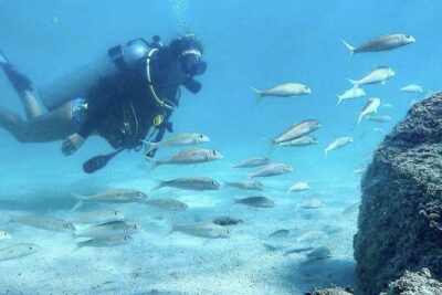 First-Time Scuba Diving in Honolulu + Free Videos - The shallow training: waist-deep practice before anything deeper