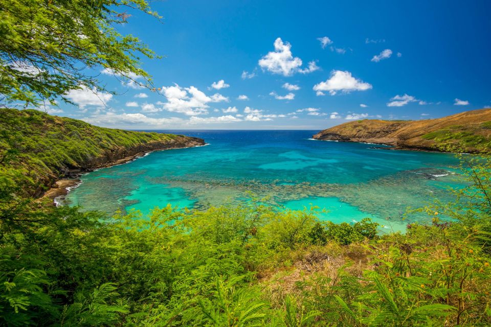 From Waikiki: Best of Oahu Photo Tour with Pickup - The “Secret Stop” and Tantalus/Puu Ualakaa State Park Angles