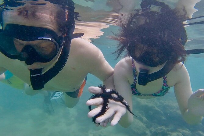 Guided Snorkel Tour for Beginners in Honolulu - What the Water Experience Feels Like (And What You Might Expect)