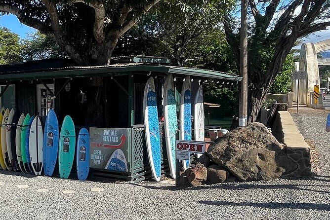Haleiwa River Paddle Board Rental with Blue Planet Adventure Co. - Wildlife spotting: turtles and birds are the main stars
