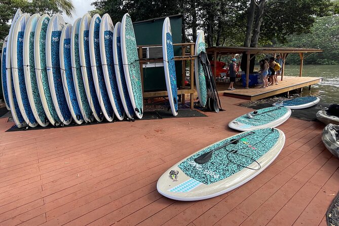 Haleiwa River Paddle Board Rental with Blue Planet Adventure Co. - Price and value: why $39.99 is a fair deal here