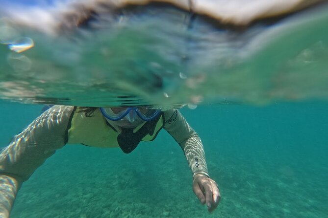 Hanauma Bay Guided Snorkeling Tour with Transportation - Key highlights before you book