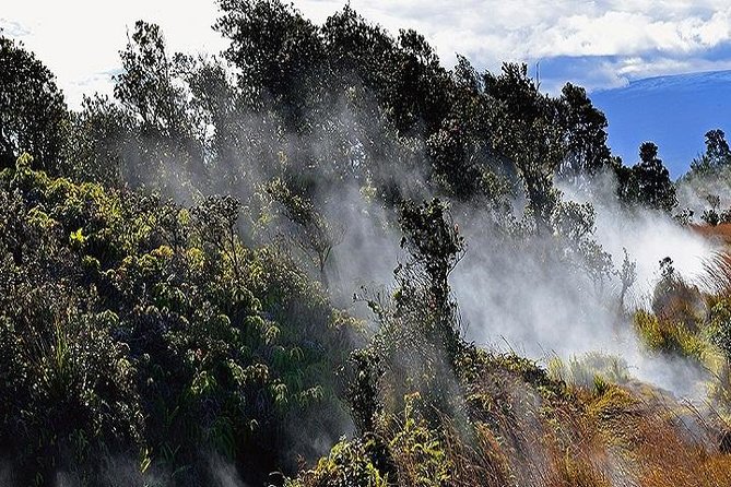 Hawaii Volcanoes National Park Experience Departing from Oahu - The Big Island stops before Volcanoes National Park
