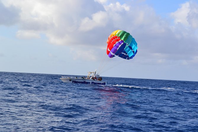 Hawaiian Parasail Since 1977 - Wildlife Spotting: Dolphins, Sea Turtles, Flying Fish