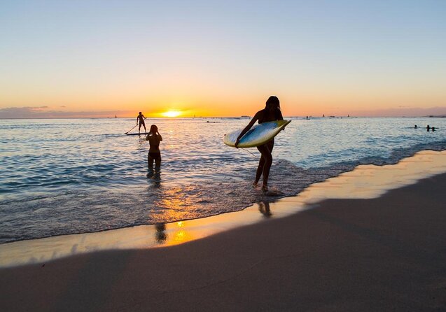 HNL Airport & Waikiki Private Transfer by Brand New Mercedes Van - Key Highlights You’ll Feel Immediately