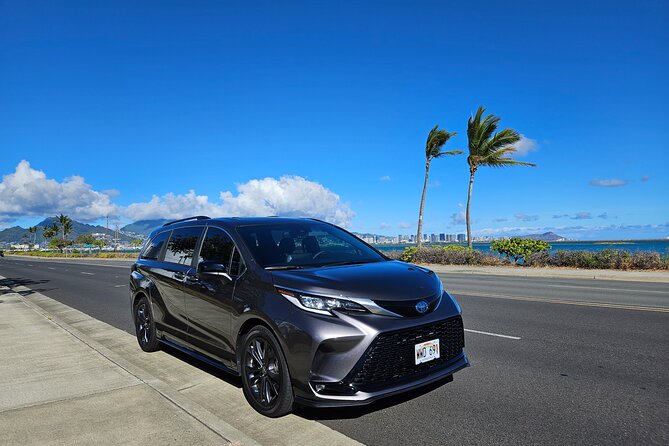 Honolulu Airport, Cruise Port and Hotels Private Transfer - Waiting Time: The Real Value Hiding in the Fine Print