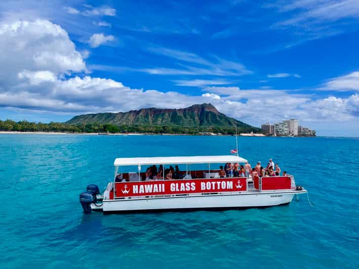 Honolulu: Glass Bottom Boat Tour along Oahu's South Shore - Price check: why around $40 can feel fair for what you get