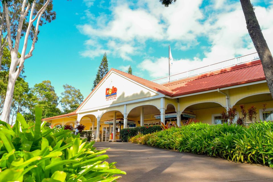 Honolulu: Oahu Island Full-Day Guided Tour by Bus with Lunch - Timing, Traffic, and Why a Full Loop Feels Longer