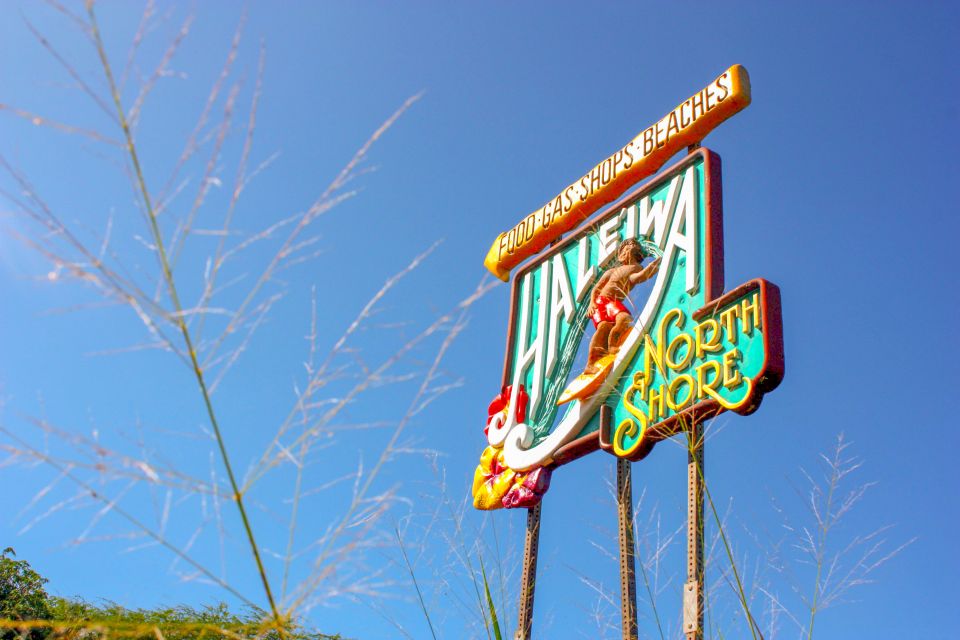 Honolulu: Oahu Island Full-Day Guided Tour by Bus with Lunch - Dole Plantation: Pineapples, Sugarcane, and a Familiar Hawaii Detour