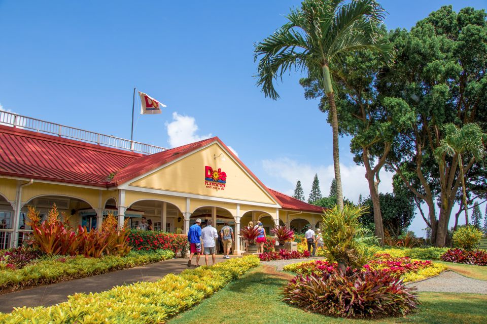 Honolulu: Oahu Sights and Bites Circle Island Foodie Tour - Puaena Point and Turtle Spotting: The Best Kind of Wait-and-See