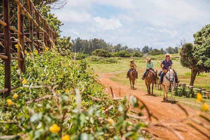 Horseback Ride Like an Authentic Paniolo in Kahuku - Key things I’d mark on your map before you go
