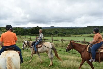 Horseback Ride Like an Authentic Paniolo in Kahuku - What 90 minutes feels like on the trail (and where the view comes in)
