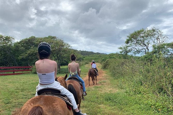 Horseback Ride Like an Authentic Paniolo in Kahuku - Price and value: what $155 buys you (and what it doesn’t)