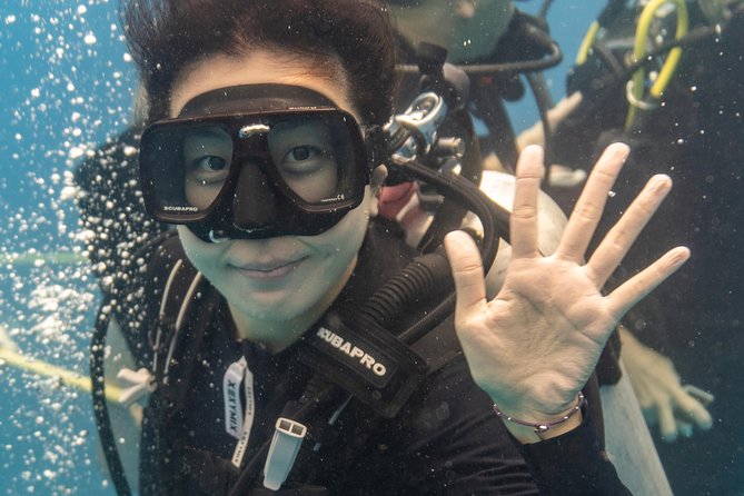Incredibly Fun Coral Reef Giant Sea Turtles 4hour Boat Scuba Tour - Meeting at 424 Nāhua St and the Oahu ride plan